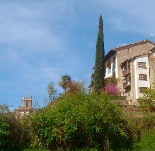 Cal Tofones, Baixos 2. Allotjament Turistic A Borreda Экстерьер фото